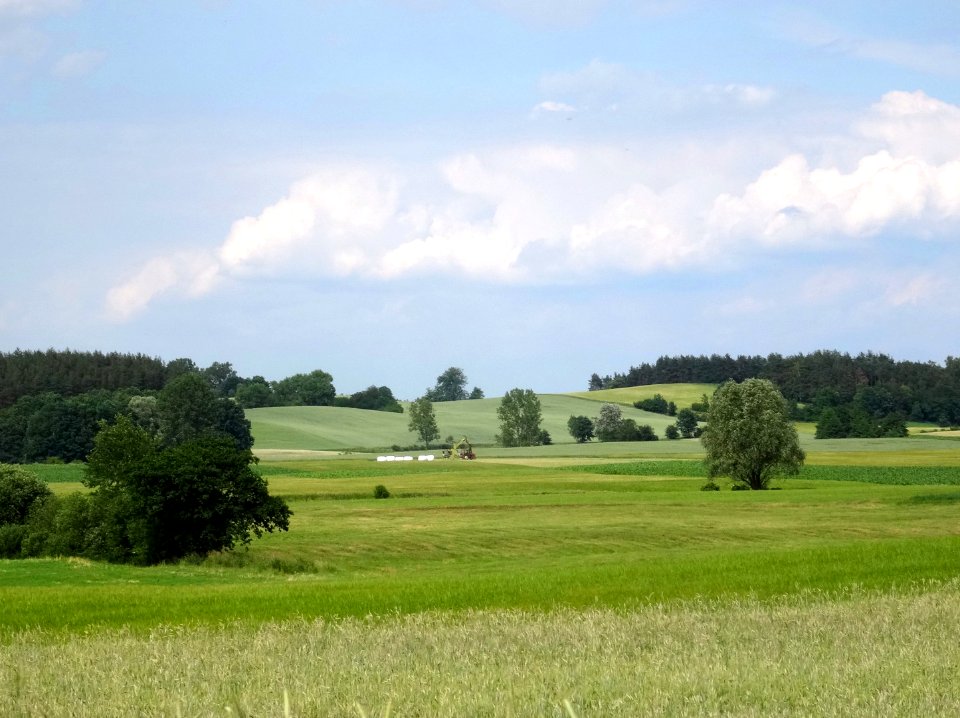 Krajna kWiecborka 4 6-2016