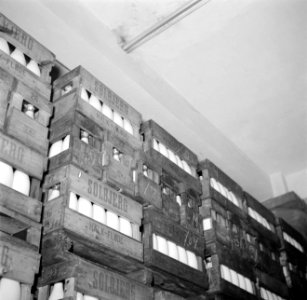 Kratten vol met flessen melk gestapeld tegen een muur, Bestanddeelnr 252-9077