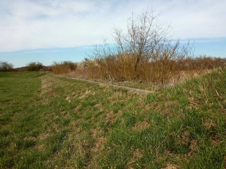 Kraichbach. Polder Bad Schönborn-Kronau, Hochwasserentlastungsanlage