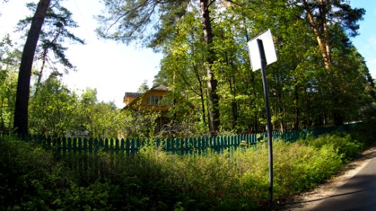 Kratovo old dacha 2020-05 42km north 9