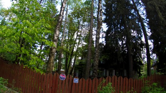 Kratovo old dacha 2020-05 42km north 3