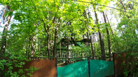 Kratovo old dacha 2020-05 42km north 10