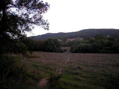 Krasnolesye 7