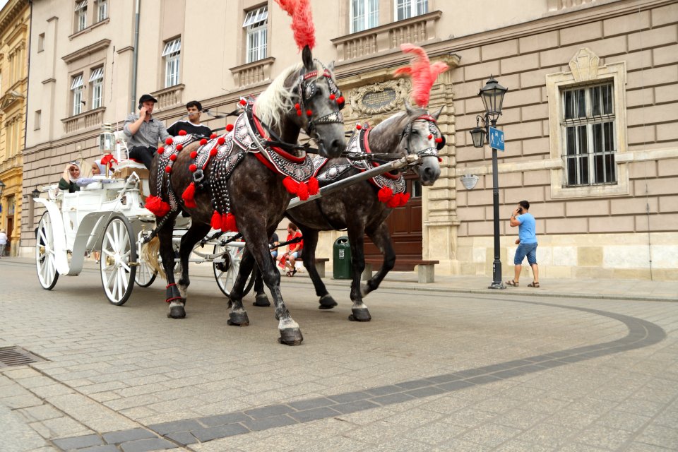 Krakow, August 2018 0001