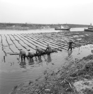 Kreekafsluitingen, kraagstukken, biesbosch, Bestanddeelnr 168-0760