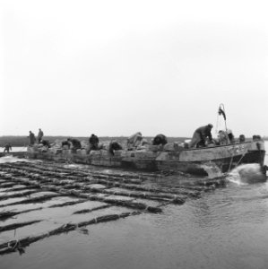 Kreekafsluitingen, zinkstukken, biesbosch, Bestanddeelnr 168-0782