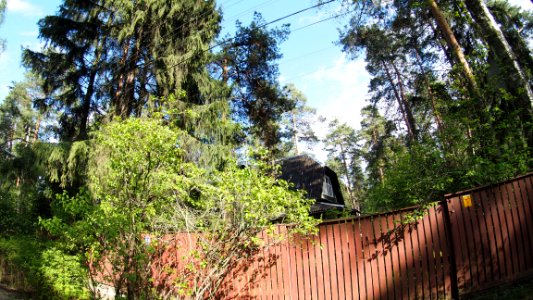 Kratovo old dacha 2020-05 42km north 8