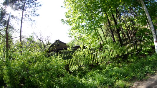 Kratovo old dacha 2020-05 42km north 5