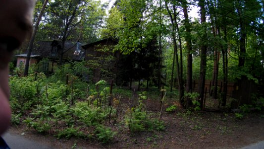 Kratovo old dacha 2020-05 42km north 4
