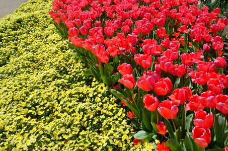 Landscaping garden seasons
