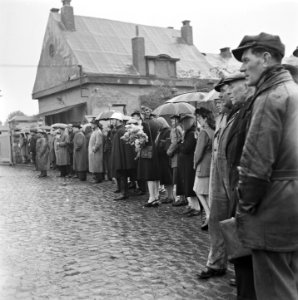 Kranslegging door bevrijde Franse politieke gevangenen op het graf van de Onbeke, Bestanddeelnr 900-2612