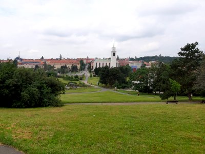 KRAVI HORA BRNO 20200719 104801