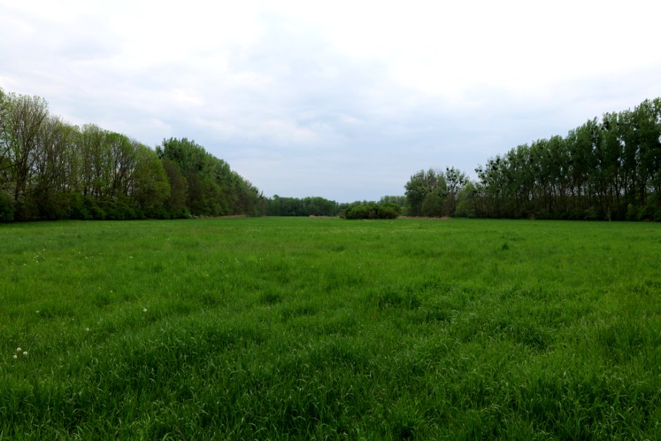 Kremmener Luch 2020-05-10 25