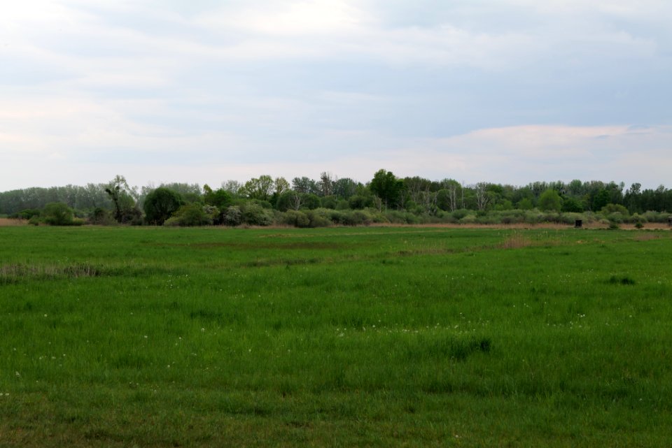 Kremmener Luch 2020-05-10 21