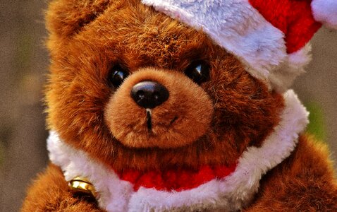 Santa hat plush cute photo
