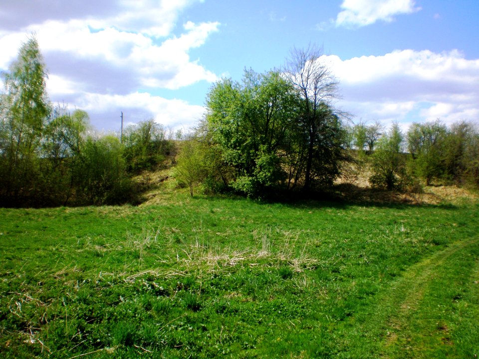 Krasausko kalnas1