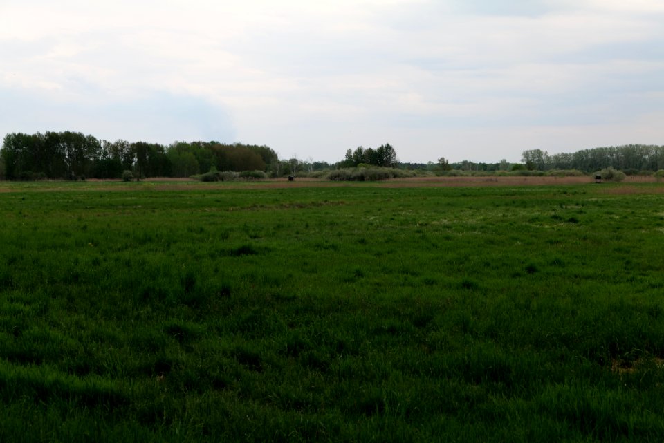 Kremmener Luch 2020-05-10 13