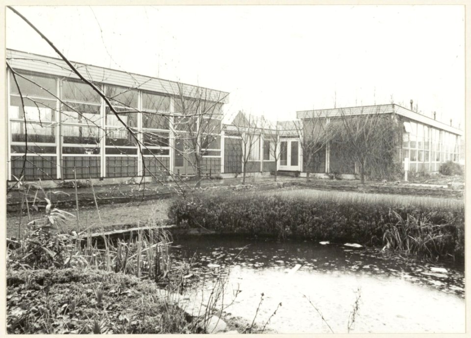 Krelageschool (voor individueel land- en tuinbouw onderwijs) Korte Verspronckweg 9, NL-HlmNHA 54004833