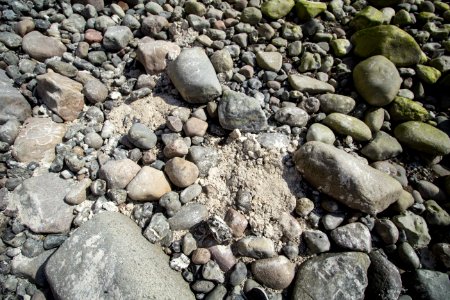 Kreide zwischen Steinen an der Steilküste Sassnitz