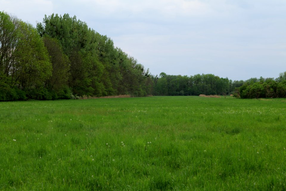 Kremmener Luch 2020-05-10 24