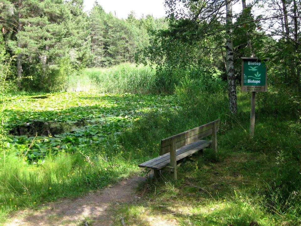 Kreuzerweiher in Glaning 2