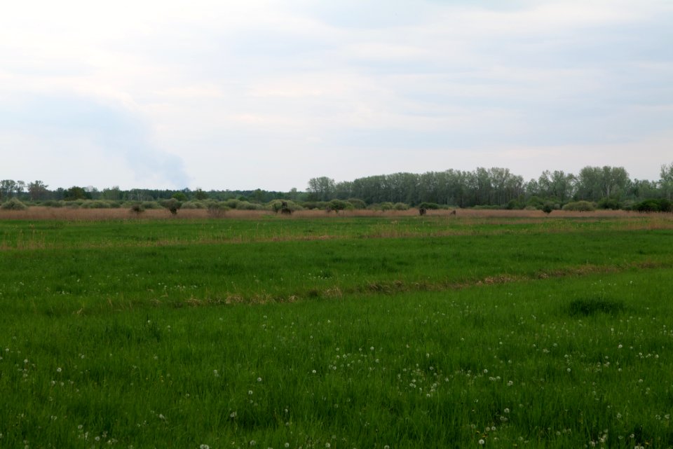 Kremmener Luch 2020-05-10 17