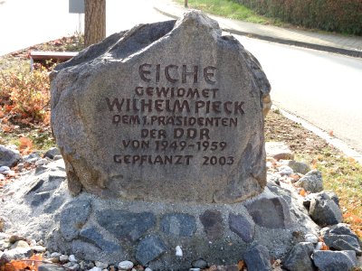 Kriebitzsch 04