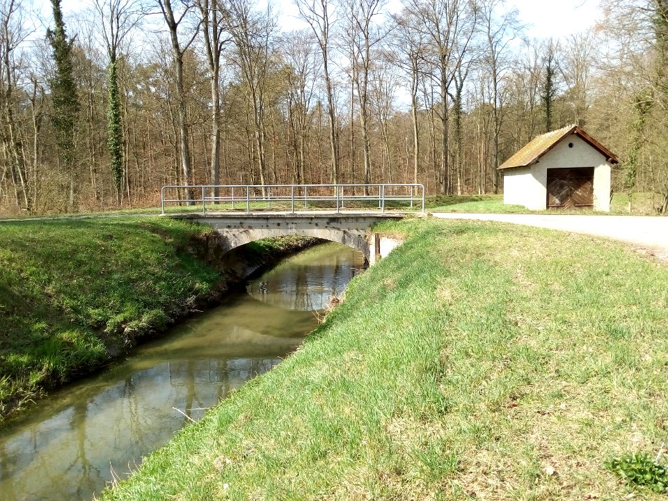 Kriegbach, Weidenbrücke in der Lusshardt