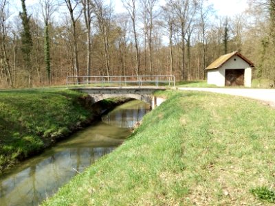 Kriegbach, Weidenbrücke in der Lusshardt