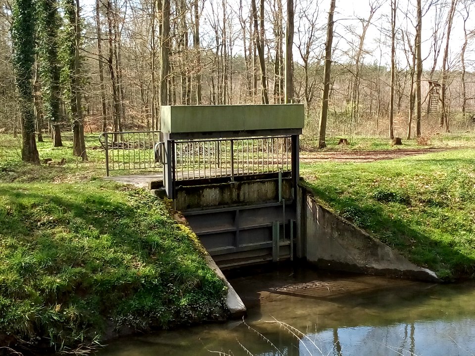 Kriegbach, Auslass Kriegbachpolder (2)