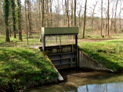 Kriegbach, Auslass Kriegbachpolder (2)