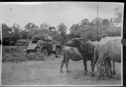 Krawang het reserve-eskadron Pantserwagens van het regiment Huzaren van Boreel , Bestanddeelnr 13679