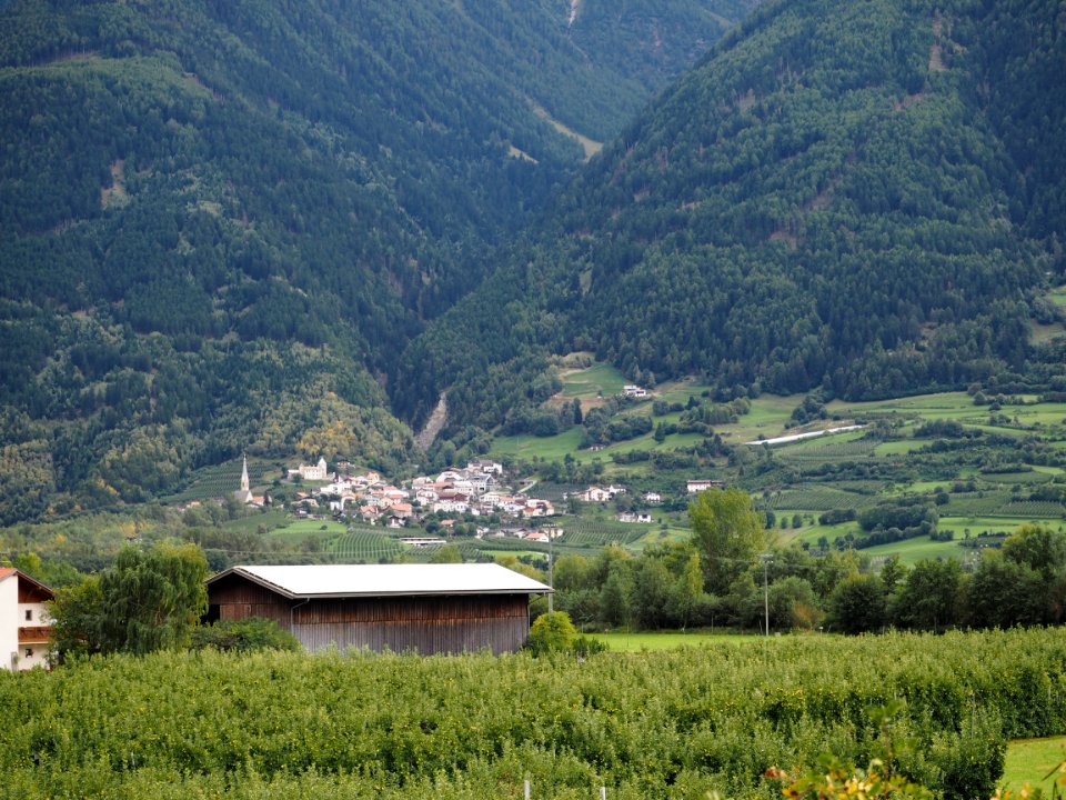 Kriegerfriedhof in Spondinig (49)