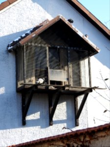 Kriebitzsch 25
