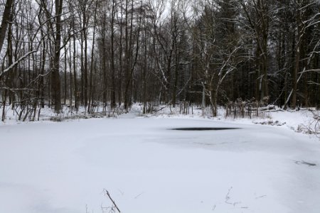 Kreuztränke Kuhlake Spandauer Forst with ice and snow 2021-02-09 01