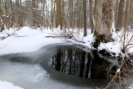 Kreuzgraben Spandauer Forst with ice and snow 2021-02-09 09