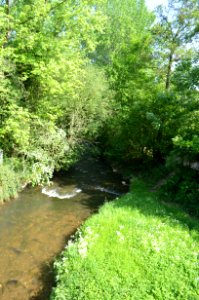 Kriftel, Schwarzbach