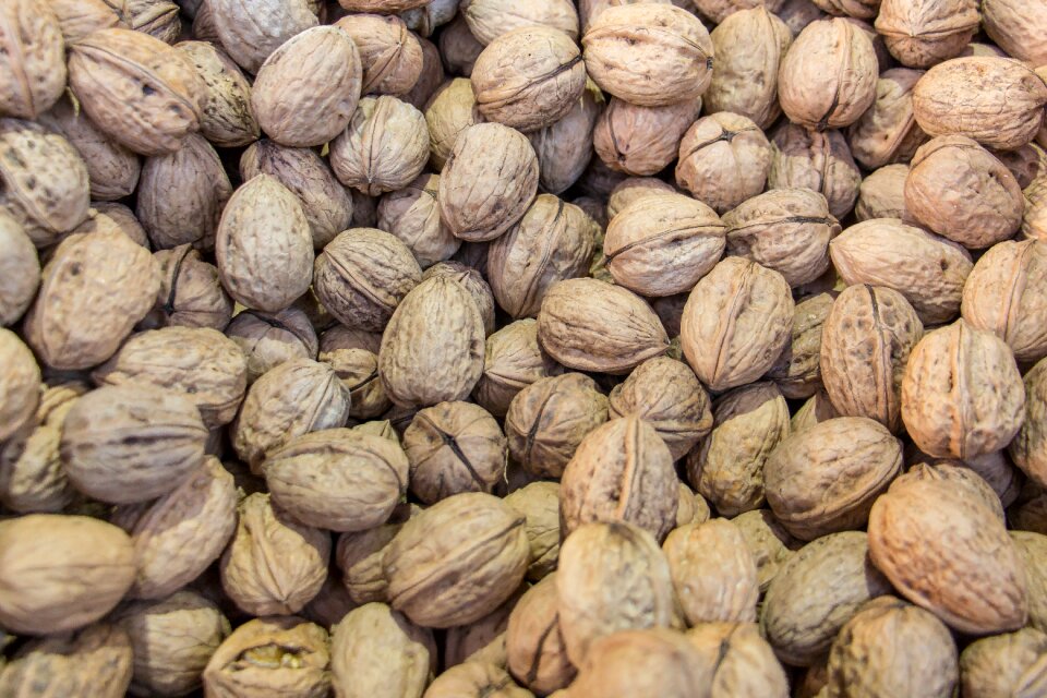 Brown fruit bowl close up