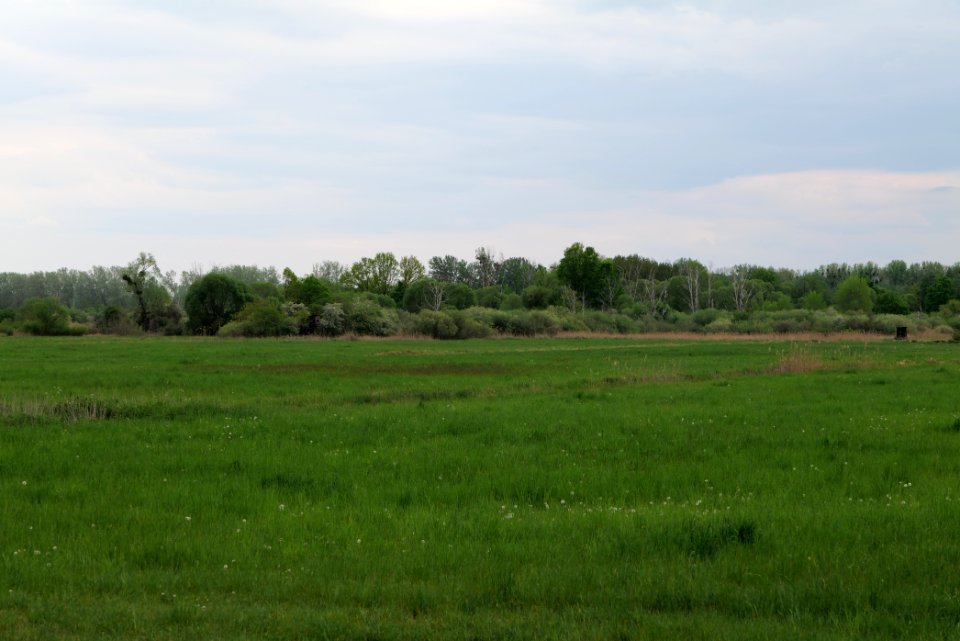 Kremmener Luch 2020-05-10 19