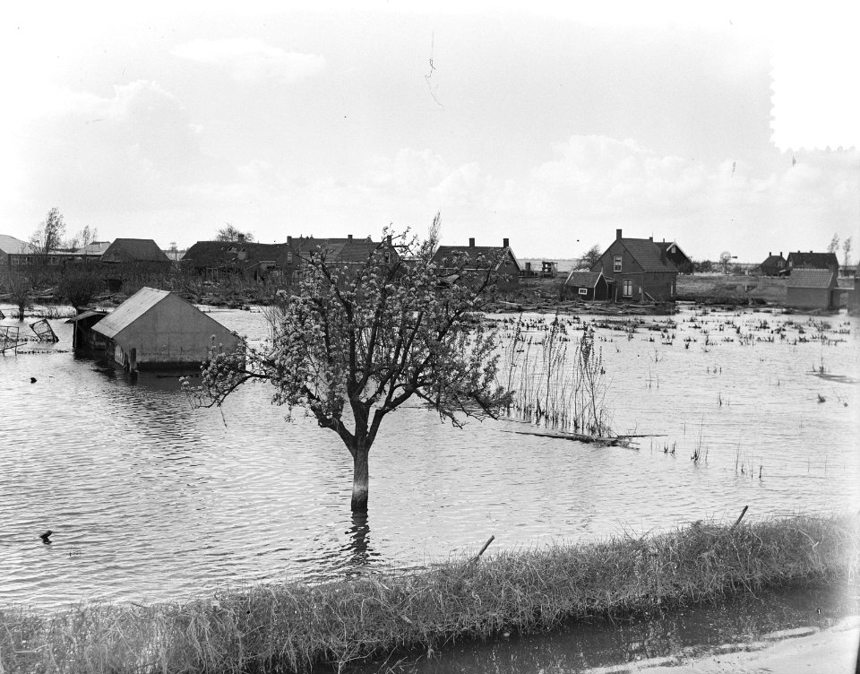 Kruiningen bloeiende vruchtbomen in h. water, Bestanddeelnr 905-6944