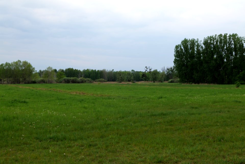 Kremmener Luch 2020-05-10 22