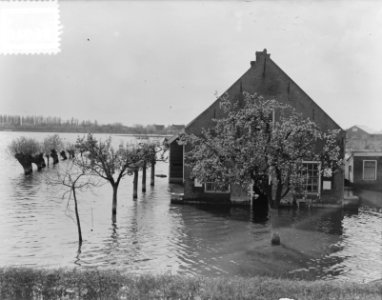 Kruiningen bloeiende vruchtbomen in h. water, Bestanddeelnr 905-6948