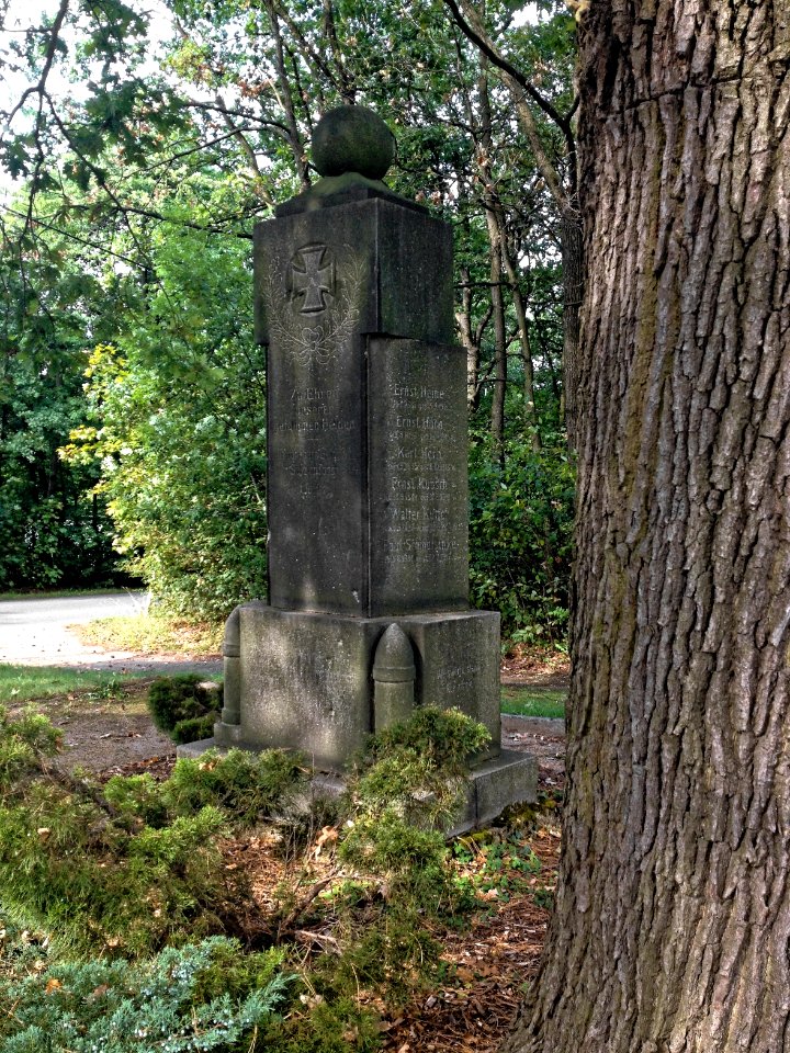 Kriegerdenkmal Salzenforst 9