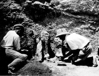 Kristos och Alfred Westholm gräver statyer i rum 117. Vouni. Galini - SMVK - C02206