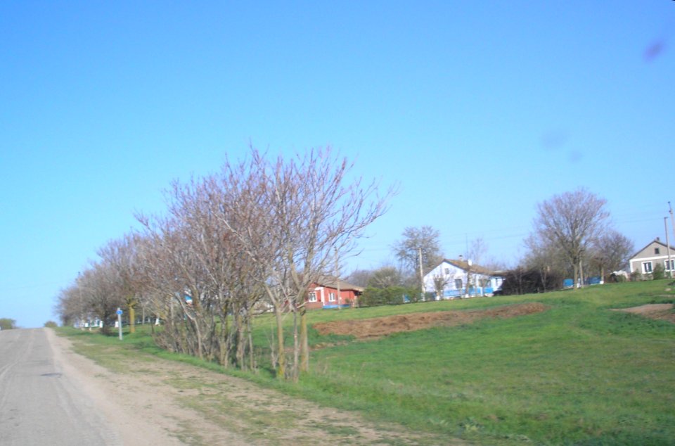 KrepkoeKrpr 17