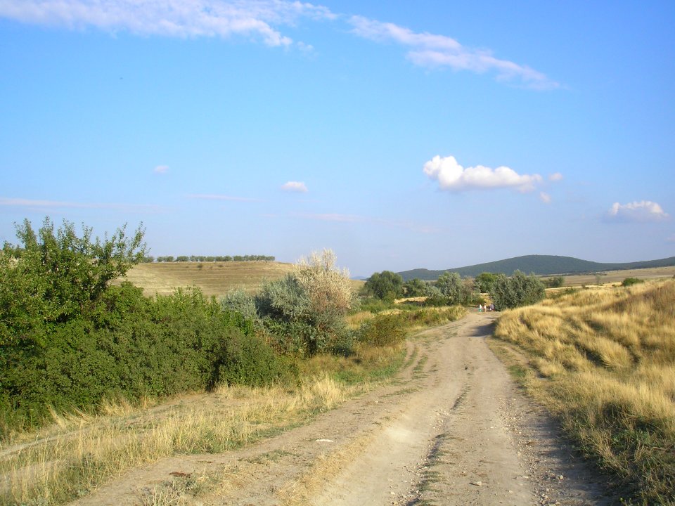 KrivtsovoCr 5