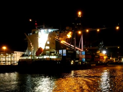 Kristin Schepers by night pic5