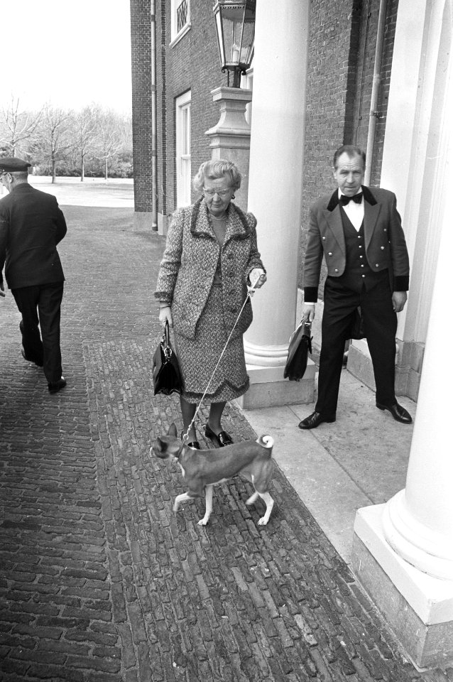 Koningin Juliana arriveert met een hondje, Bestanddeelnr 926-3316