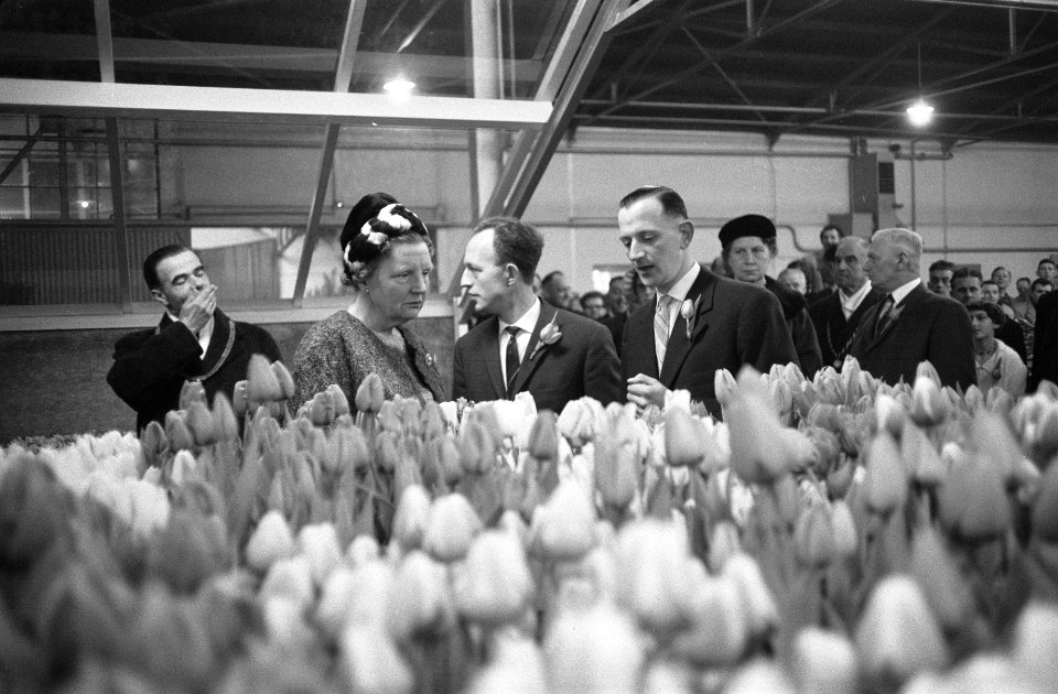 Koningin Juliana bezoekt de bloembollenstreek Hare Majesteit in het veilinggebo, Bestanddeelnr 912-0986