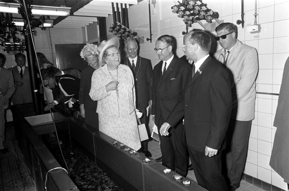 Koningin Juliana bezoekt een laboratorium, Bestanddeelnr 922-5380
